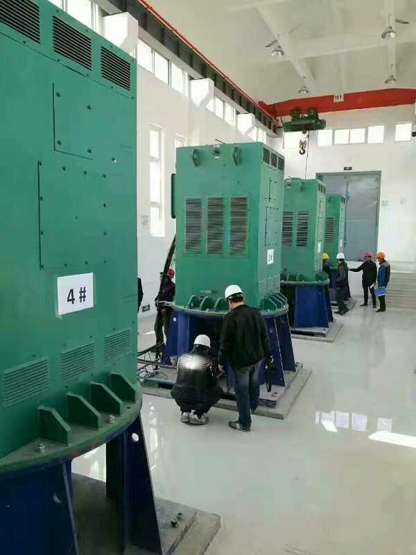 YKK7106-4某污水处理厂使用我厂的立式高压电机安装现场